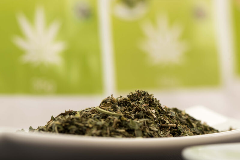 Purer Hanftee im Test